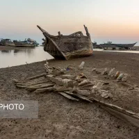 تور بوشهر به مناسبت ولادت فاطمه زهرا وروززن|تور و چارتر|بندر ماهشهر, |دیوار
