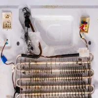 تعمیر تعمیرکار سرویس سرویس‌کار یخچال و فریزر|خدمات پیشه و مهارت|تهران, نارمک|دیوار