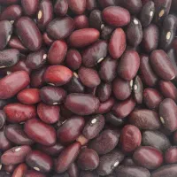 لوبیا قرمز 247