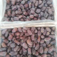 فروش خرمای کلوته