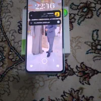 شیامی 13