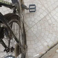 دوچرخه المپیا ۲۶|دوچرخه، اسکیت، اسکوتر|فردیس, شهرک ارم|دیوار