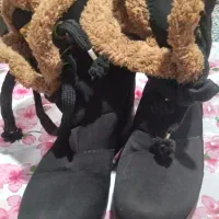 بوت کارکرده اما سالم فقط ۲۵۰ تومان|کیف، کفش، کمربند|رشت, فلسطین|دیوار