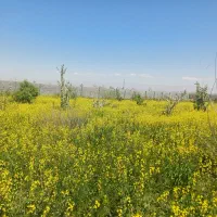 طبیعت گردی .کوه نوردی