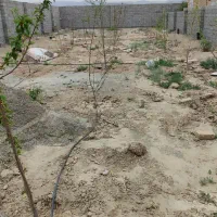 زمین دور دیوار آماده ویلا سازی|فروش زمین و ملک کلنگی|گلبهار, نوبهار|دیوار