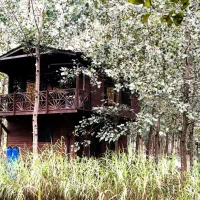 اقامتگاه چوبی، کنارجنگل سرسبز|فروش خانه و ویلا|آسارا, |دیوار