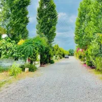 زمین-پلاک-بندی-شده-بافت-سند-تک-برگ-بنام