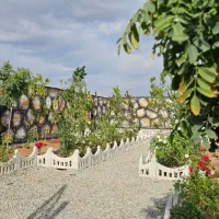 باغچه سند دار در منطقه رو به رشد