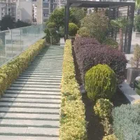 باغبانی و نگهداری از فضای سبز روف گاردن سمپاشی
