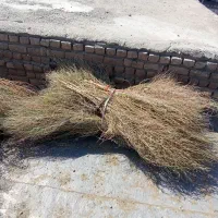 جارو محلی|لوازم نظافت|بروجرد, |دیوار