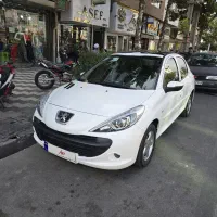 207 پاناروما مدل 1401 درجه یک