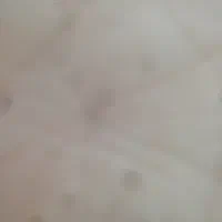 وام طرح مهربانی