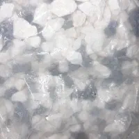 سنگ آکواریوم
