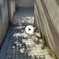 خونه ویلایی|فروش خانه و ویلا|مینودشت, |دیوار