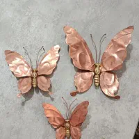 پروانه برنز و مس