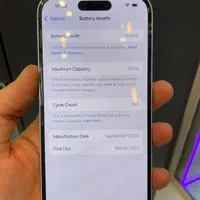iphone 16|موبایل|اصفهان, باغ نگاره|دیوار