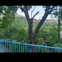 ویلا دربست جنگلی بوژان وسوعیت نقلی