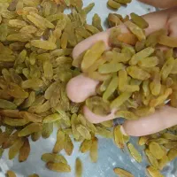 کشمش سبز