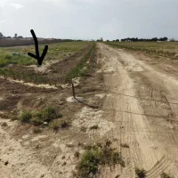 زمین ۱۰۰۰ متری
