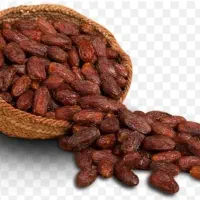کارتون خالی خرما دو ردیف