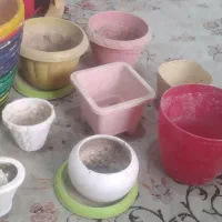 گلدان بزرگ سالم|گل و گیاه طبیعی|قرچک, داوود آباد|دیوار