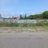 زمین ساحلی ۳۸۳ متری سند شش‌دانگ، معاوضه‌پذیر