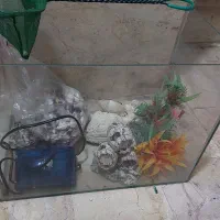 اکواریوم