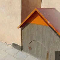 خانه حیوانات|لوازم جانبی حیوانات|کاشمر, |دیوار