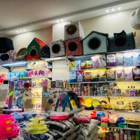 ظرف خاک گربه جای خواب چوبی روس گردو