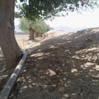 لطفا راهنمایی کنید|خدمات نظافت|اصفهان, بهارستان|دیوار