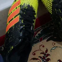 کفش فوتبال|کیف، کفش، کمربند|گیلان غرب, |دیوار