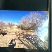 باغ-واقع-در-جوپار