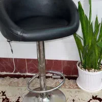 ۲ عدد صندلئ