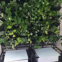 دیوار سبز گرین وال  هوشمند|خدمات پیشه و مهارت|تهران, شهرک کوهسار|دیوار