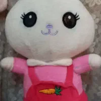 عروسک خرس صورتی معاوضه با غذای گرم یا برنج