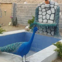 طاووس|صنایع دستی و سایر لوازم تزئینی|شیراز, اکبر آباد|دیوار