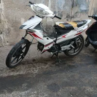 بیکلاج ۱۳۵مدل۹۱ پلاک ملی