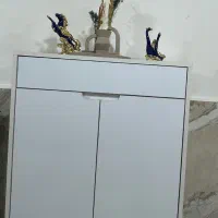 جاکفشی درحدنو
