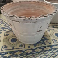 تعدادی گلدان سفالی|گل و گیاه طبیعی|زنجان, |دیوار