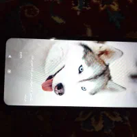 گوشی poco c75|موبایل|لنجان, |دیوار