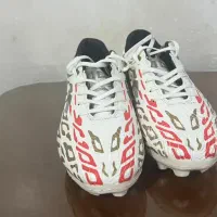 کفش  استوک دار نو سایز ۳۸