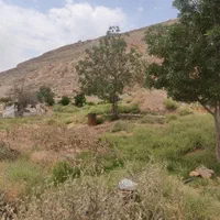 فروش  باغ دماوند ورانه|فروش دفتر صنعتی، کشاورزی، تجاری|آبسرد, |دیوار