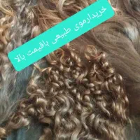 کلاه مو