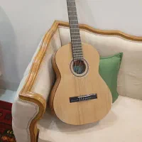 گیتار یونیک