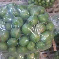 خریدار‌‌سردرختی‌‌)صادرات