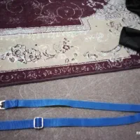 قلاده سگ|لوازم جانبی حیوانات|لاهیجان, بوجایه|دیوار