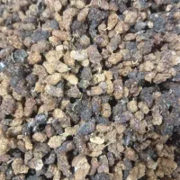 توت خشک|خوردنی و آشامیدنی|اهر, |دیوار