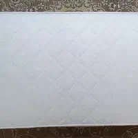 تشک نوجوان رویا