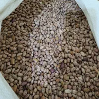 خوردنی و آشامیدنی