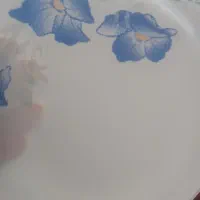 بشقاب|ظروف سرو و پذیرایی|بیرجند, |دیوار